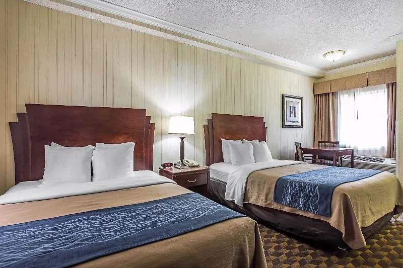 Quality Inn & Suites Los Angeles Airport - Lax Inglewood
